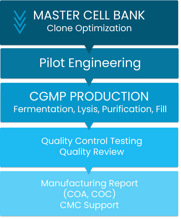 Platform Manufacturing Process Workflow